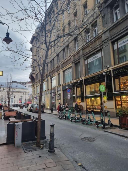 Danube Dwelling Asboth 19-1 Budapeste Exterior foto